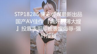 STP18288 果冻传媒最新出品国产AV佳作 『痛奸刻薄大嫂』投靠表哥却被表嫂侮辱-强奸报复