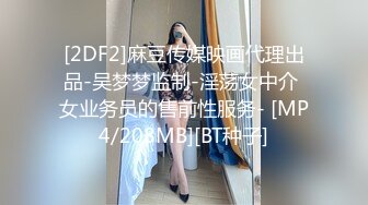 [2DF2]麻豆传媒映画代理出品-吴梦梦监制-淫荡女中介 女业务员的售前性服务- [MP4/208MB][BT种子]