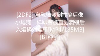 [2DF2] 自慰棒爽到抽搐后像小母狗一样趴着被直男滴蜡后入爆操射嘴里[MP4/185MB][BT种子]