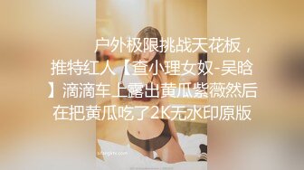 ⚫️⚫️户外极限挑战天花板，推特红人【查小理女奴-吴晗】滴滴车上露出黄瓜紫薇然后在把黄瓜吃了2K无水印原版