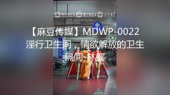 【麻豆传媒】MDWP-0022 淫行卫生间，情欲解放的卫生隔间-林襄