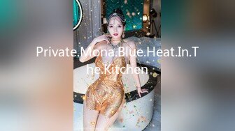 Private.Mona.Blue.Heat.In.The.Kitchen