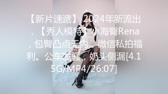 【新片速遞】 2024年新流出，【秀人模特】小海臀Rena，包臀凸点无内，微信私拍福利。公车发骚，奶头侧漏[4.15G/MP4/26:07]