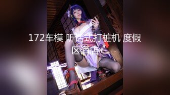 172车模 听话式打桩机 度假区酒店