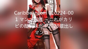 Caribbeancom 010224-001 マンコ図鑑 ～これがカリビの醍醐味だ！2023蔵出しマンコ～