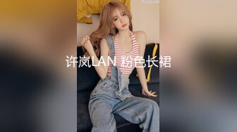 许岚LAN 粉色长裙