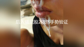 后入骚屁股2依然手势验证