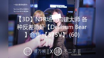 【3D】NTR场景构建大师 各种反差隐奸【Delirium Bear】合集 【575V】 (60)