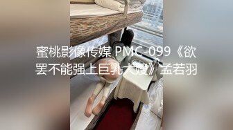 蜜桃影像传媒 PMC-099《欲罢不能强上巨乳大嫂》孟若羽