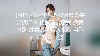 [MP4]和开宝马的公务员夫妻交换归来 畅谈性爱感受 换妻套路 讲着讲着骚穴水流 自慰口交来一波