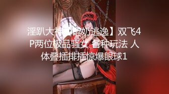 淫趴大神【醉奶逃逸】双飞4P两位极品骚女 各种玩法 人体叠插排插惊爆眼球1