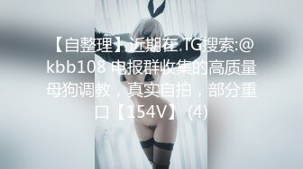 【自整理】近期在 TG搜索:@kbb108 电报群收集的高质量母狗调教，真实自拍，部分重口【154V】 (4)