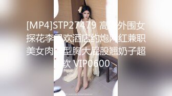 [MP4]STP27479 高端外围女探花李寻欢酒店约炮网红兼职美女肉肉型胸大屁股翘奶子超软 VIP0600