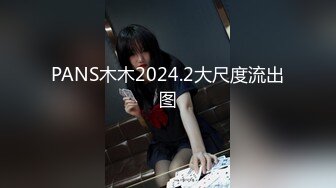 PANS木木2024.2大尺度流出图