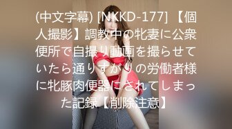 (中文字幕) [NKKD-177] 【個人撮影】調教中の牝妻に公衆便所で自撮り動画を撮らせていたら通りすがりの労働者様に牝豚肉便器にされてしまった記録【削除注意】