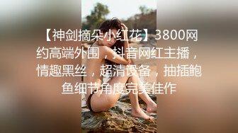 【神剑摘朵小红花】3800网约高端外围，抖音网红主播，情趣黑丝，超清设备，抽插鲍鱼细节角度完美佳作