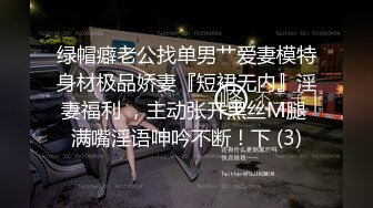 绿帽癖老公找单男艹爱妻模特身材极品娇妻『短裙无内』淫妻福利 ，主动张开黑丝M腿 满嘴淫语呻吟不断！下 (3)